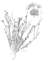 Picture10