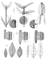Picture11