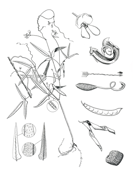 Picture12