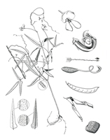 Picture12
