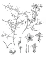 Picture13