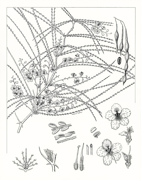 Picture14