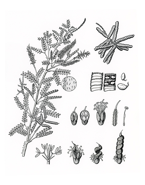 Picture 15