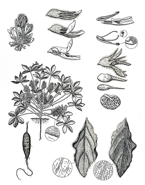 Picture 16 Medium