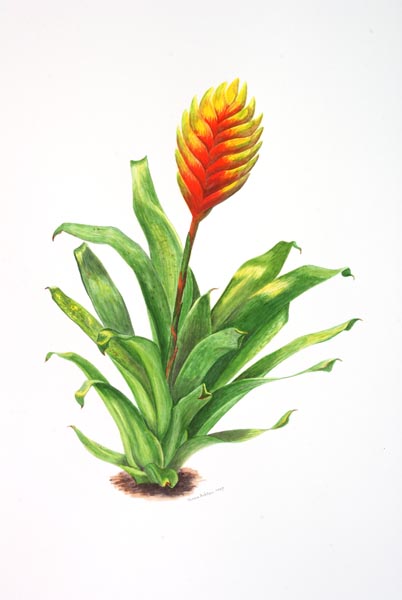 Picture 04