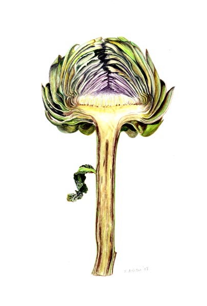 Picture 19