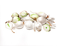 Pearl Onions